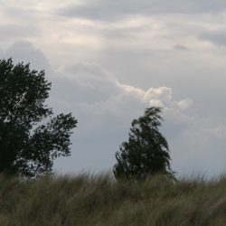 August 2006