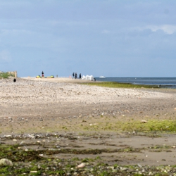 Süd-West