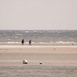 Trockene Sandbänke an der Ostsee