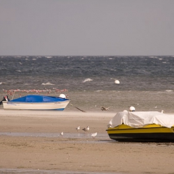 Trockene Sandbänke an der Ostsee