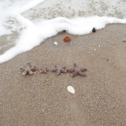 Daisy wütet an der Ostsee