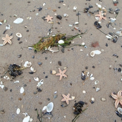 Daisy wütet an der Ostsee