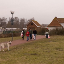 Beach Clean-Up