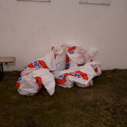 Beach Clean-Up