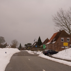 Frühling in Weiß