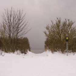 Frühling in Weiß