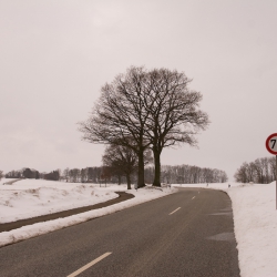 Frühling in Weiß
