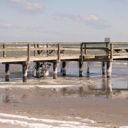 Winter Beach Clean-Up