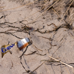 Winter Beach Clean-Up