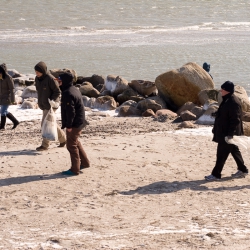 Winter Beach Clean-Up