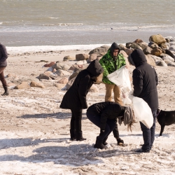 Winter Beach Clean-Up