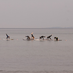 SUP-Yoga auf der Ostsee
