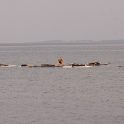 SUP-Yoga