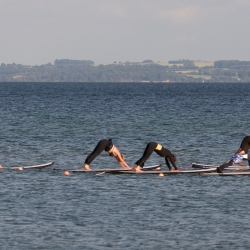 SUP-Yoga