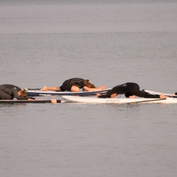 SUP-Yoga