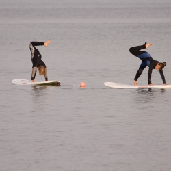 SUP-Yoga auf der Ostsee