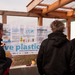 6. Beach Clean-Up
