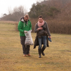 6. Beach Clean-Up