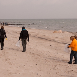 6. Beach Clean-Up