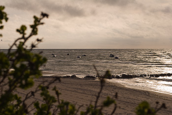 Morgenstimmung am Strand